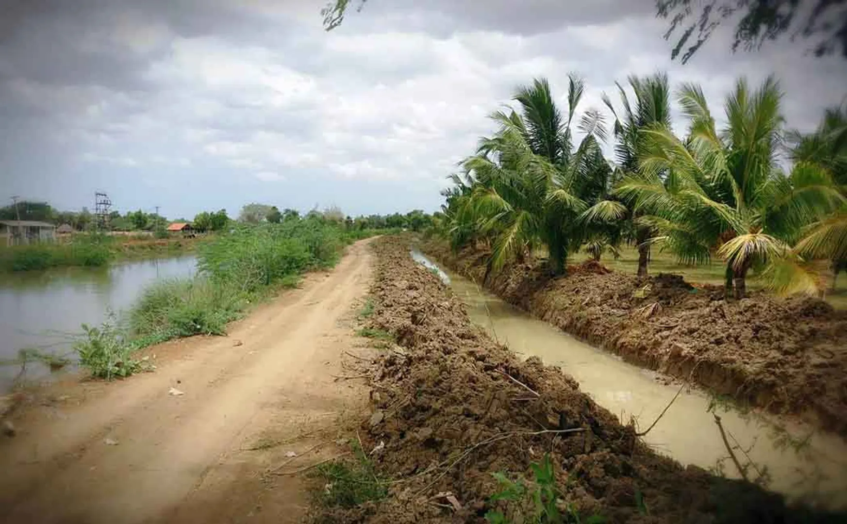 PUDUKKOTTAI  After 25 years, youth Irrigation Request to resume work immediately with funds allocated